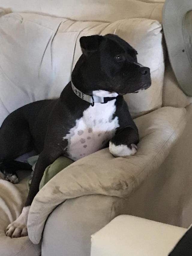 photo_2019-01-12_13-51-08