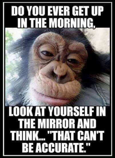 64255127_2534650406762438_6756235946066182144_n