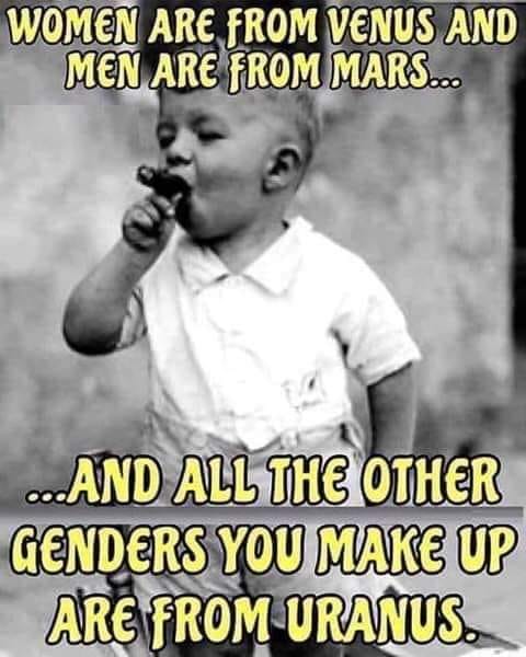 65009232_10156500300611229_4193630854070665216_n