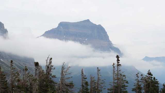 gettyimages-1017163098